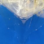 ブリスターの角の拡大。青い布の上に置かれている