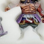 発泡材に収まったカイドウ本体の胴体部分