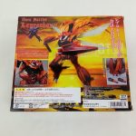 外箱の背面。夕焼けを背にしたレプラカーンの写真と注意書き